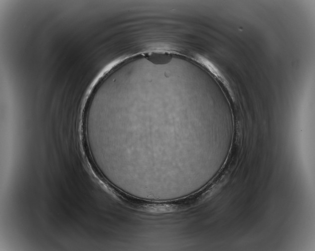 X0000086321331200704202014