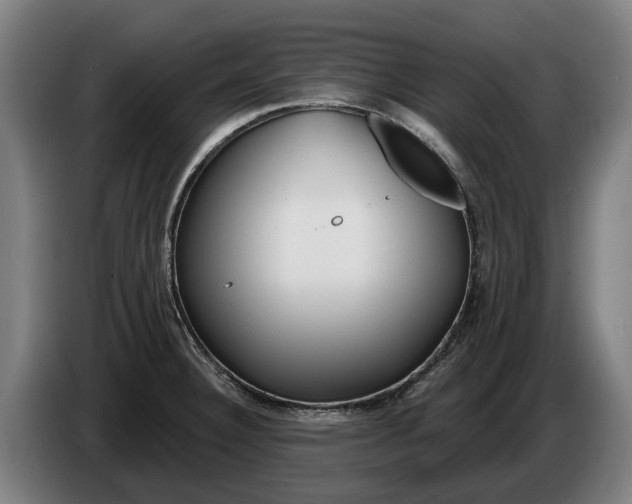 X0000086321332200704202014