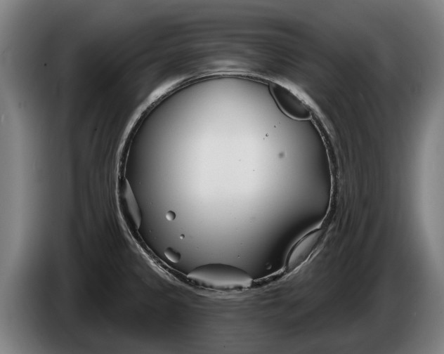 X0000086321333200704202014