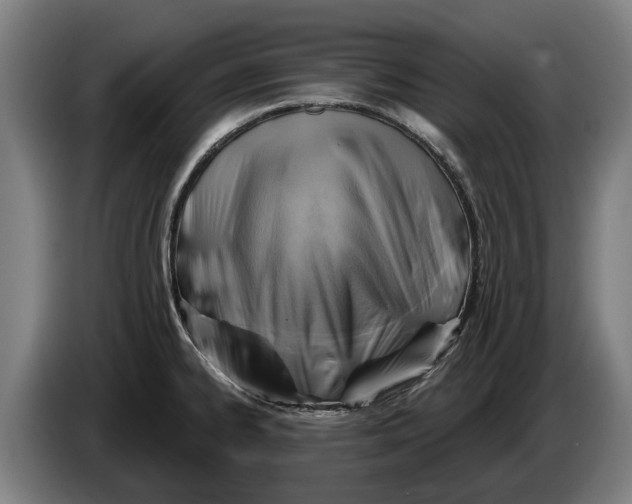 X0000086321334200704202014