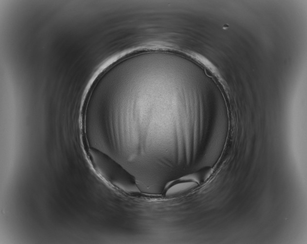 X0000086321335200704202014