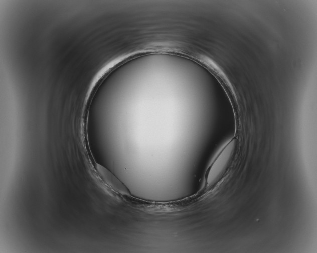 X0000086321336200704202014