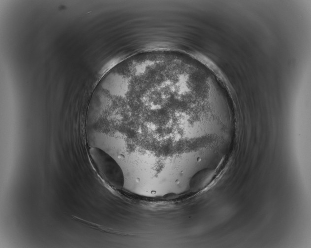 X0000086321337200704202014