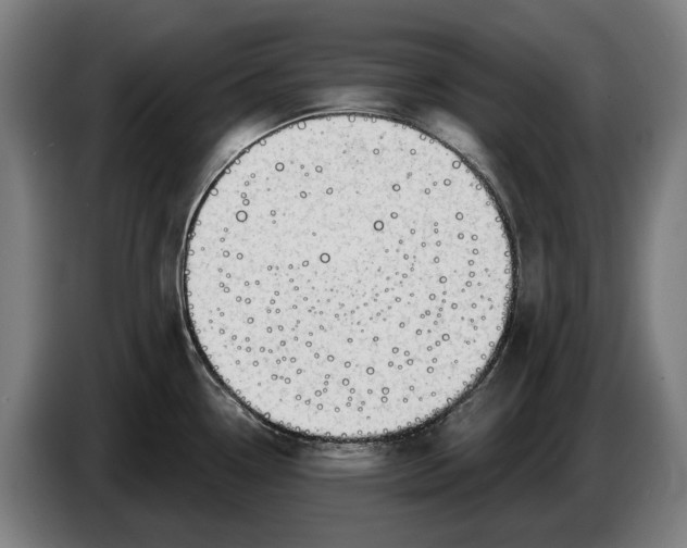 X0000086321338200704202014