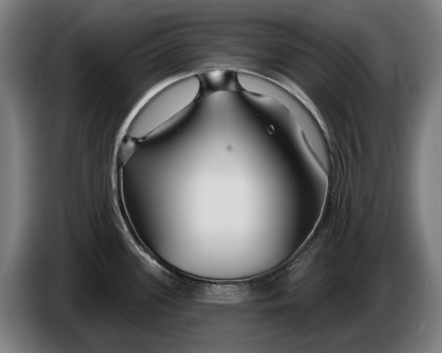 X0000086321339200704202014