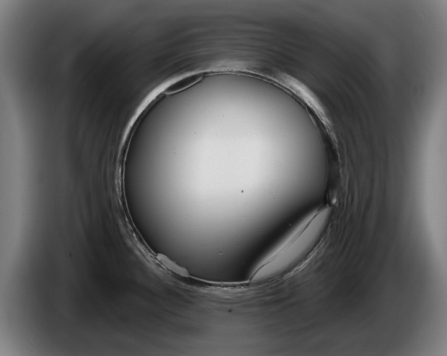 X0000086321340200704202014