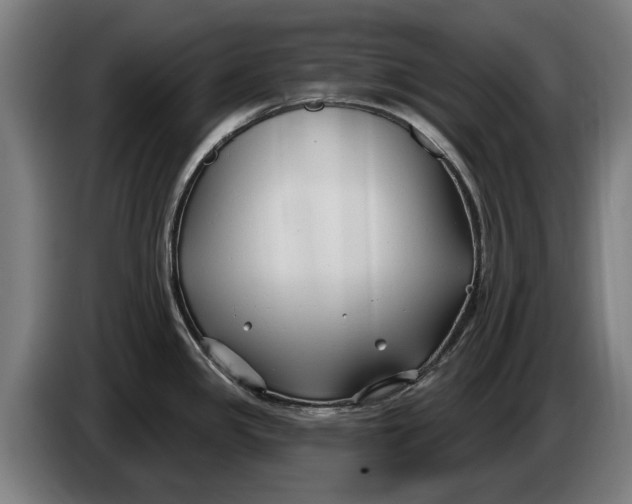 X0000086321341200704202014