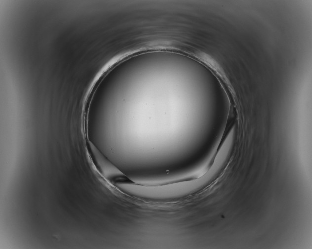 X0000086321342200704202014