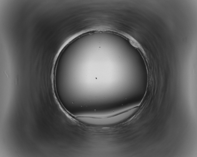 X0000086321343200704202014