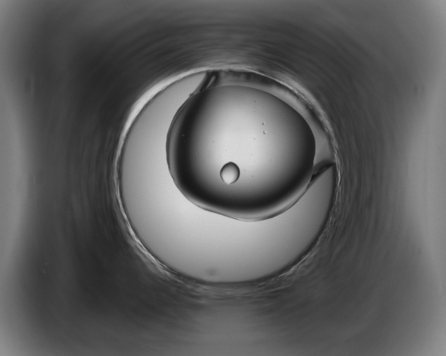 X0000086321344200704202014