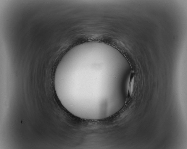 X0000086321345200704202014