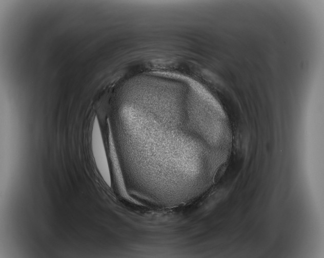 X0000086321346200704202014