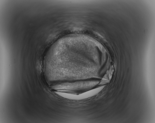 X0000086321348200704202014