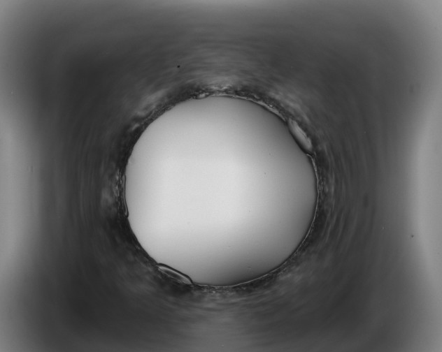 X0000086321349200704202014