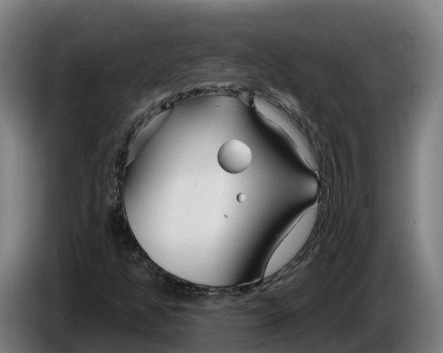 X0000086321350200704202014