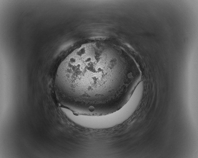 X0000086321351200704202014