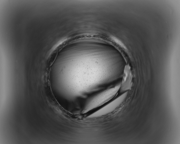 X0000086321352200704202014