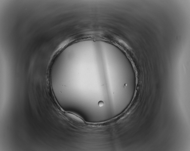 X0000086321354200704202014