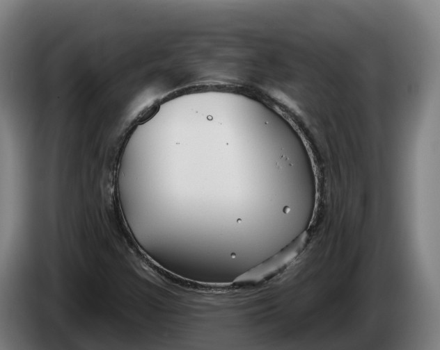 X0000086321355200704202014