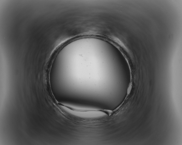 X0000086321356200704202014