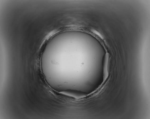 X0000086321357200704202014