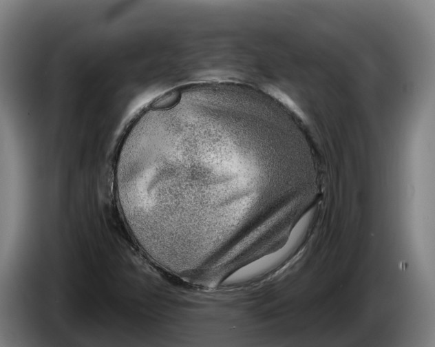 X0000086321358200704202014