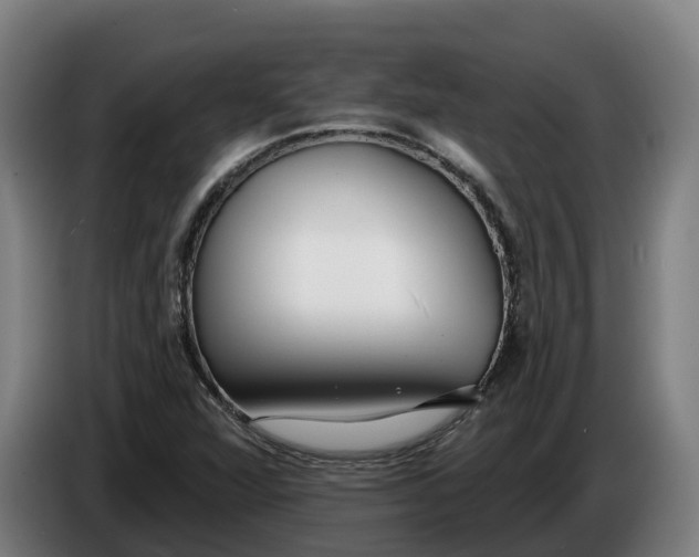 X0000086321360200704202014