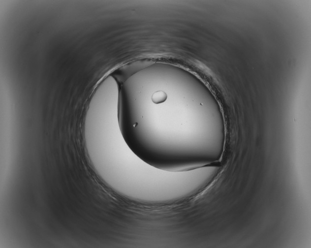 X0000086321361200704202014