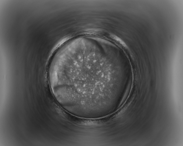 X0000086321362200704202014