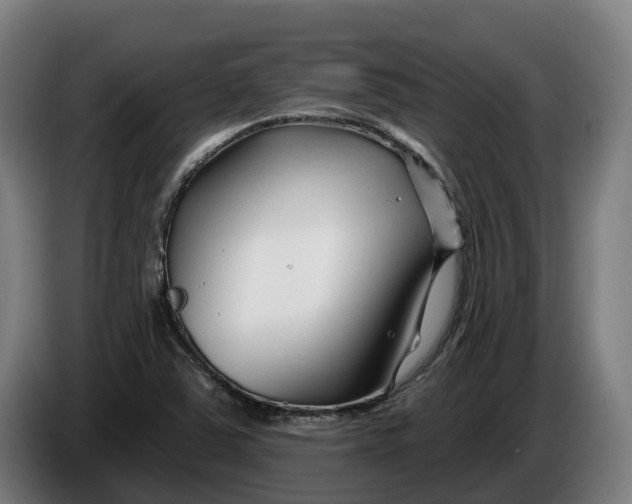 X0000086321363200704202014