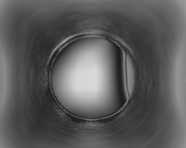 X0000086321364200704202014