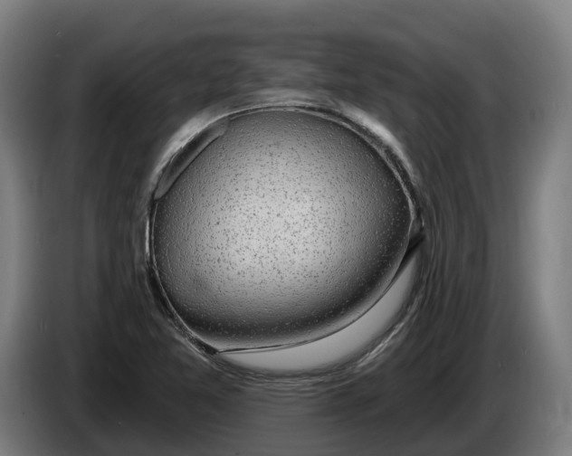 X0000086321365200704202014