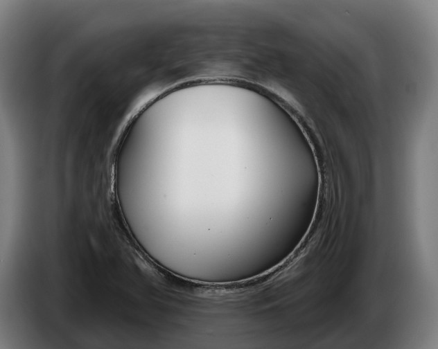 X0000086321366200704202013