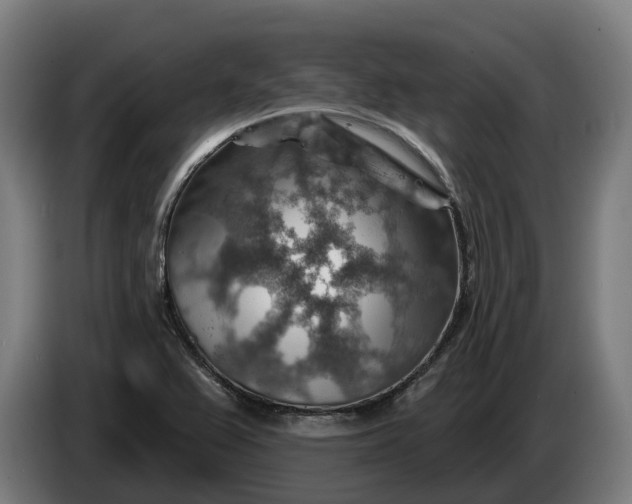 X0000086321367200704202013