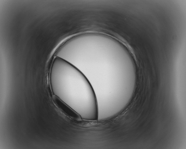 X0000086321368200704202013