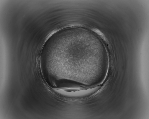 X0000086321369200704202013