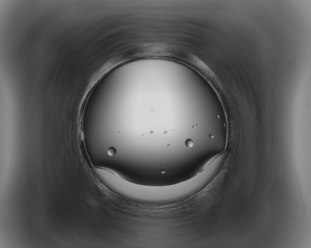 X0000086321370200704202013