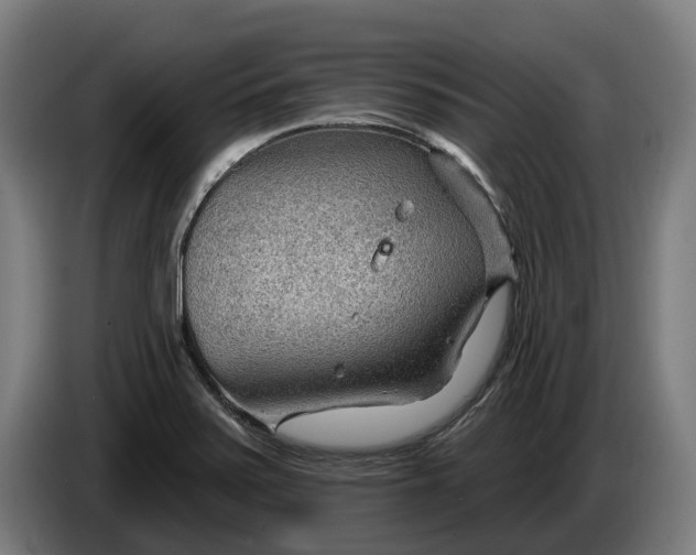 X0000086321371200704202013