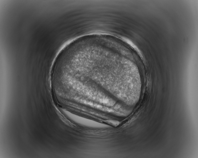 X0000086321372200704202013