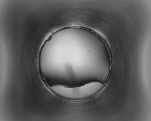 X0000086321374200704202013