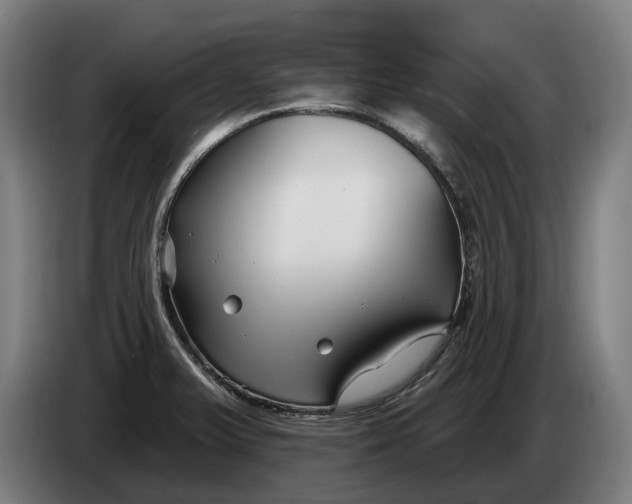 X0000086321375200704202013