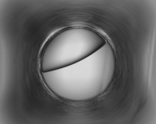 X0000086321376200704202013