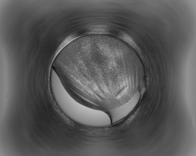 X0000086321378200704202013