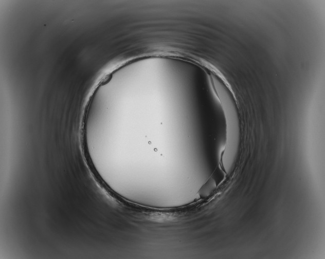 X0000086321379200704202013