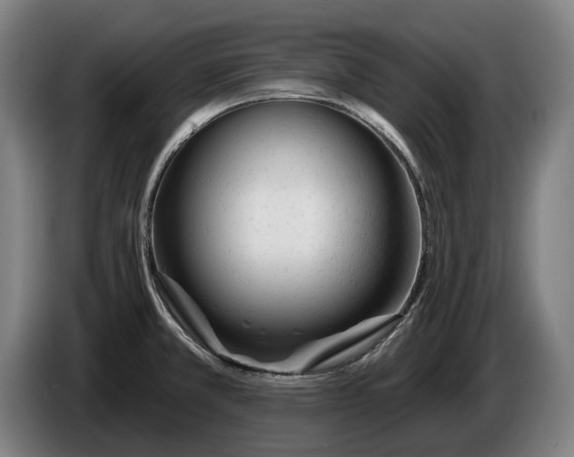 X0000086321381200704202013