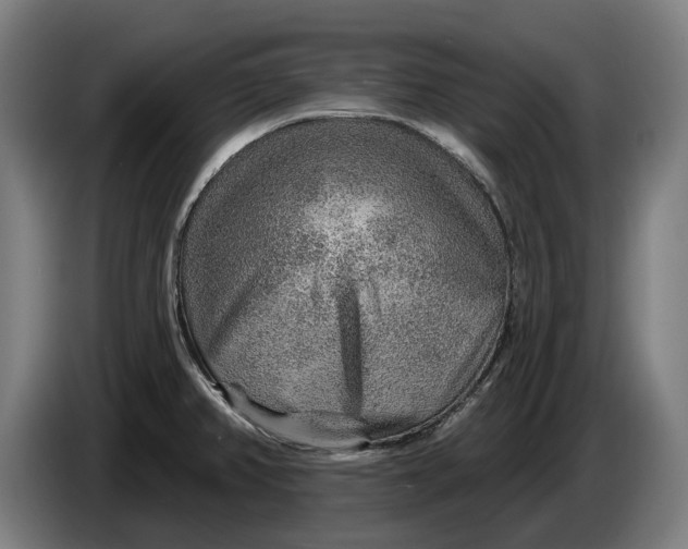 X0000086321382200704202013