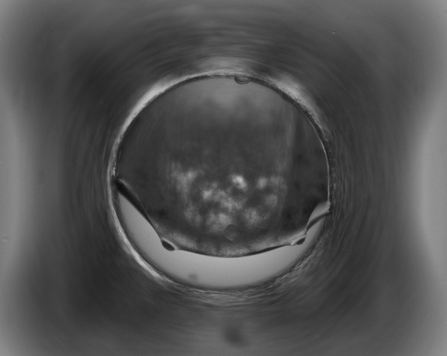 X0000086321383200704202013