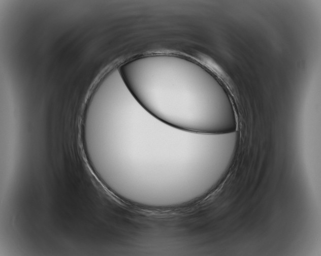 X0000086321384200704202013