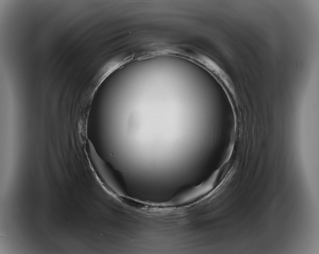 X0000086321385200704202013