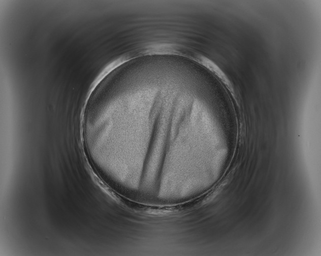 X0000086321386200704202013